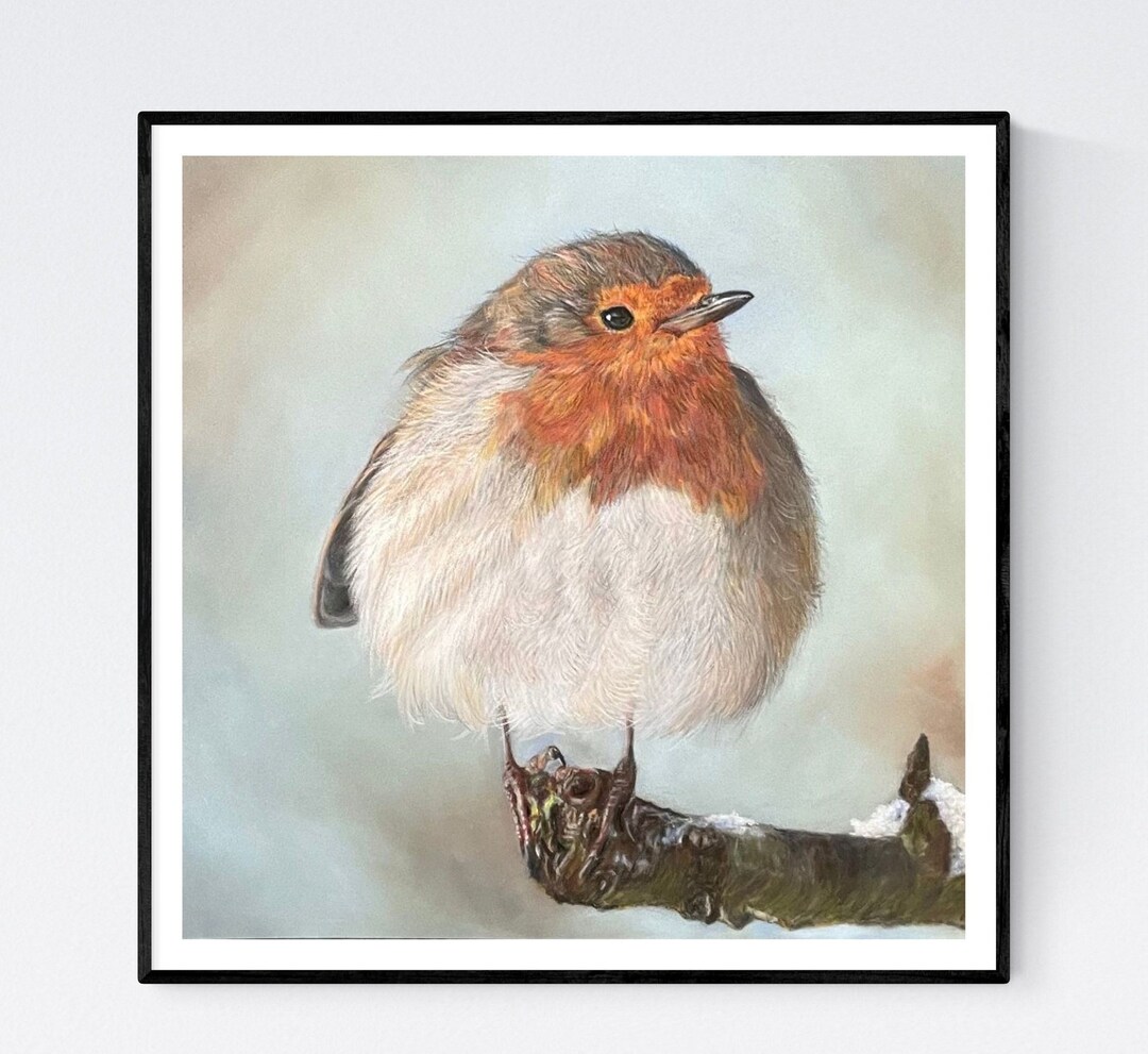 Robin Art Print Red Robin Art Robin Wall Art Robin Artwork Winter Robin