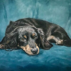 Puede incluir: Pintura detallada de un perro salchicha de pelo largo tumbado sobre una superficie azul verdoso. El perro tiene pelaje negro con marcas marrones alrededor de la cara y las patas. Los ojos del perro est&aacute;n abiertos y parece estar mirando al espectador.
