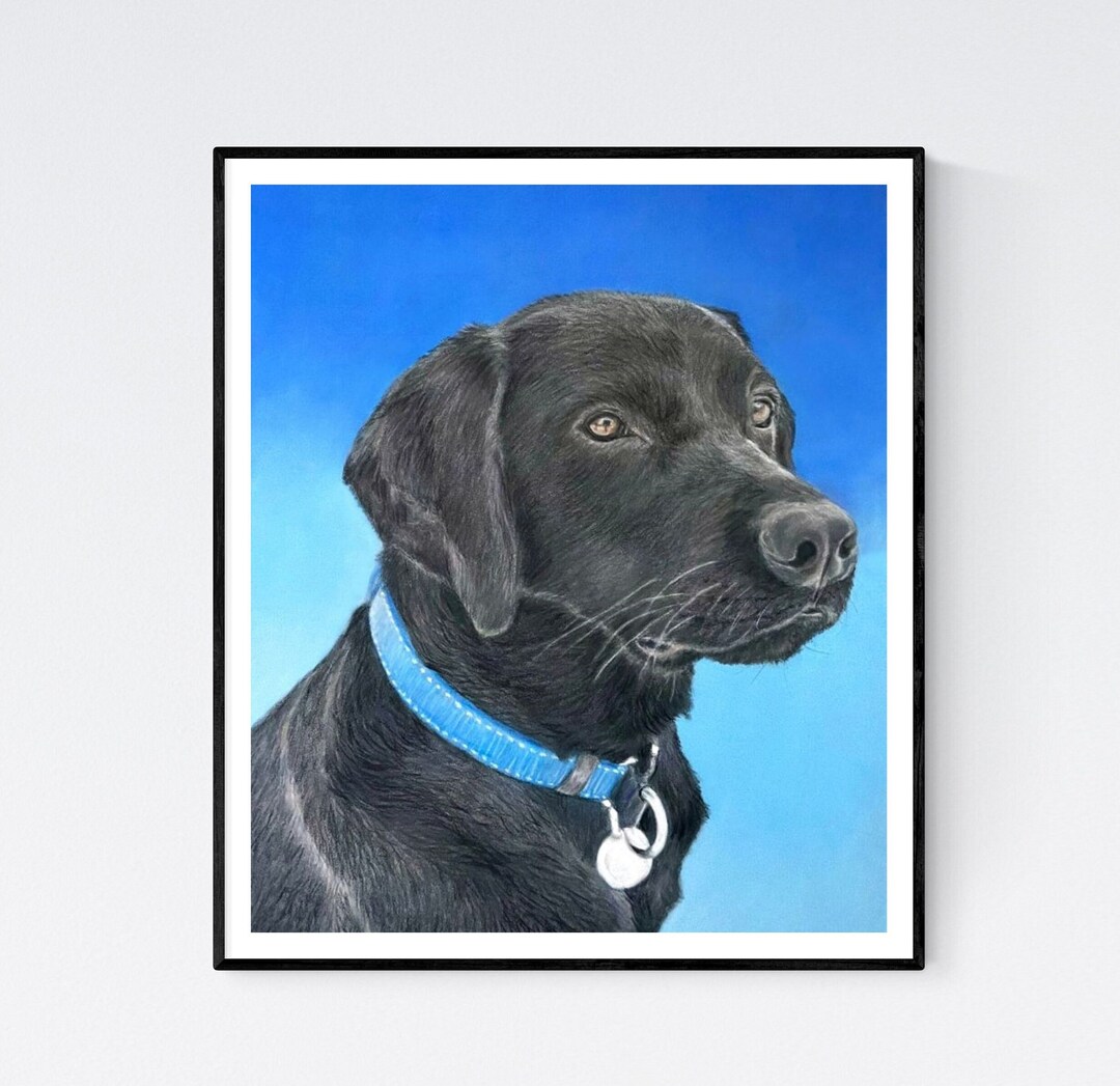 Black Lab Print Labrador Art Black Lab Art Labrador Retriever Art