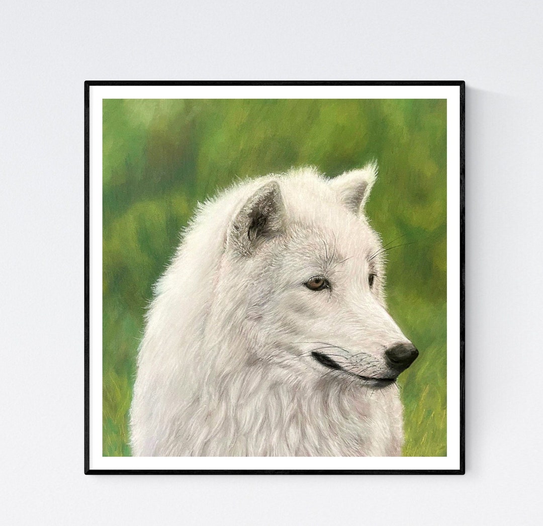 Arctic Wolf Print - Wolf Art Print - Wolf Artwork - Wolf Wall Art ...
