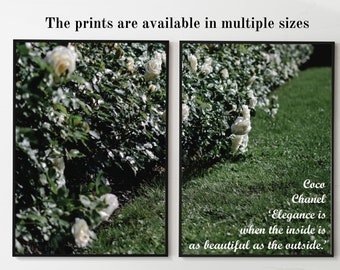 Elegant Fashion Nature Inspired Wall Decor | Double Print Sets | White Roses Garden Printable | Elegance Fashion Poster Digital Download