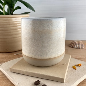 Puede incluir: Una taza cilíndrica de cerámica con un exterior blanco roto moteado y una base beige claro. La taza se encuentra sobre un posavasos cuadrado beige claro. Una planta en maceta y una concha marina están en el fondo. Dos granos de café están en el posavasos.