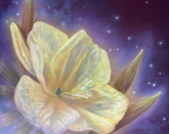 Oil painting ‘Evening Primrose’