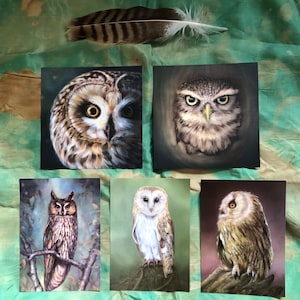 Série de cartes postales hibou