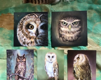 Owl Postcard Series