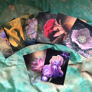Conjunto de postales de flores