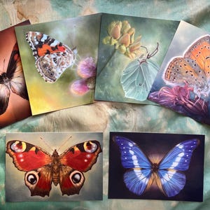 Juego de postales de mariposas
