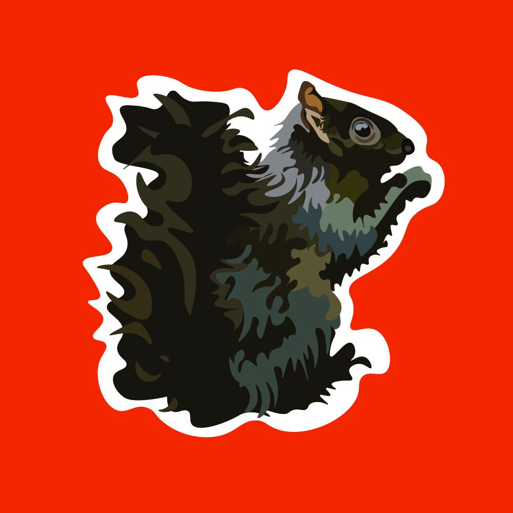 Black Squirrel Sticker - Etsy