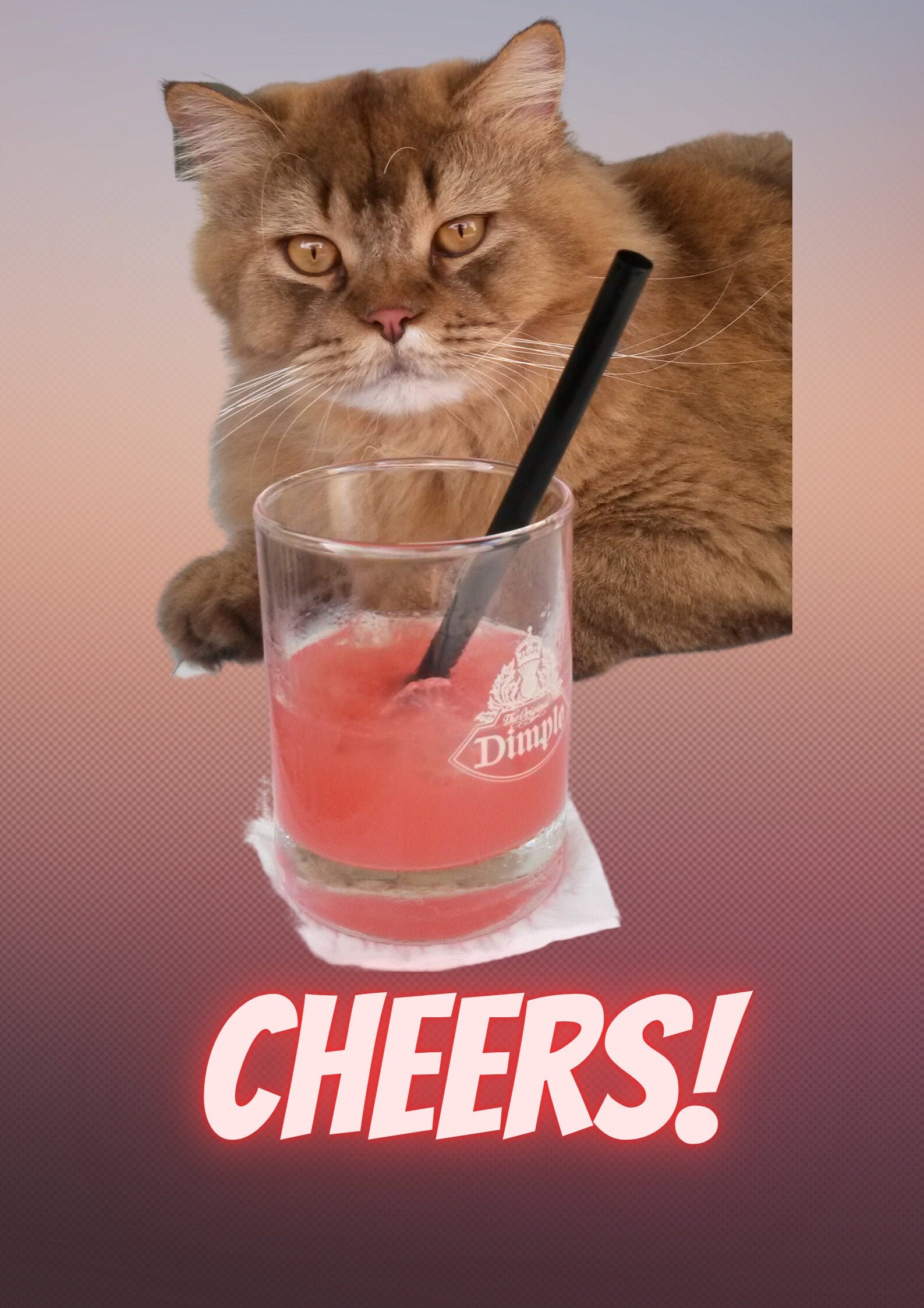 Cheers Cat With Cocktail Etsy