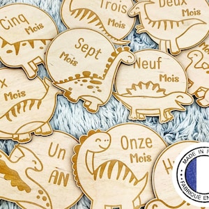 Cartes étapes en bois pour bébé - Set de 12 plaques de progression de bébé - Cartes étapes bébé en bois pour capturer les moments précieux