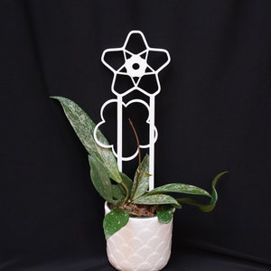 Offset Flower Houseplant Trellis Modular Customizable