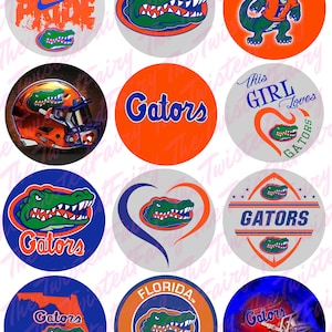 May include: Twelve round stickers featuring the University of Florida Gators logo in various colours and designs. The logos include an alligator, a football helmet, and the words "Gators" and "Gator Pride".