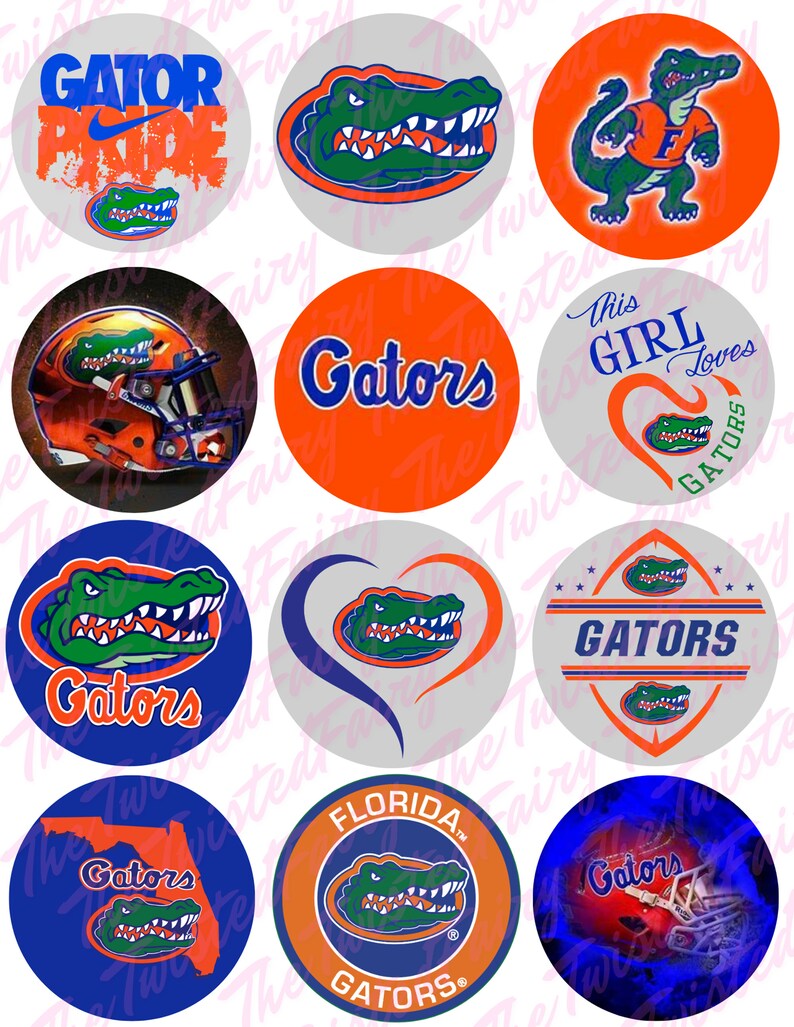 May include: Twelve round stickers featuring the University of Florida Gators logo in various colours and designs. The logos include an alligator, a football helmet, and the words "Gators" and "Gator Pride".