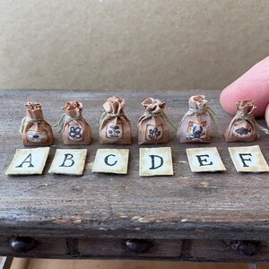 May include: Six miniature tan paper pouches tied with twine, each featuring a unique label depicting a spider, snake, mushrooms, seed pods, skull and crossbones, or fish. Each pouch is paired with a small square card labelled A through F.