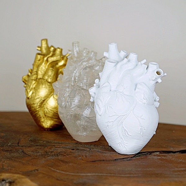 anatomische Herz-Vase aus Harz für Trockenblumen ∙ in verschiedenen Farben & Größen ∙ herzförmige Blumenvase in Weiß, Gold oder Transparent