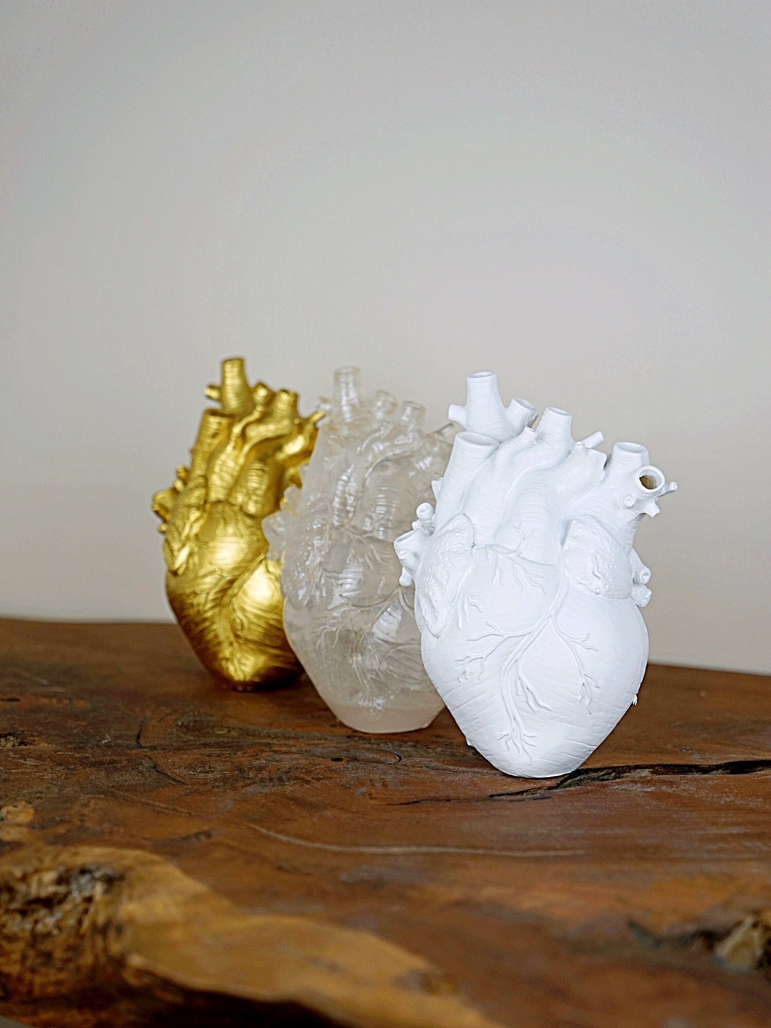 Anatomische Herzform Vase Harz Blumentopf Ornament Kunst