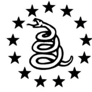 Sticker sticker Don't Tread On Me Patriottische sticker Sticker voor vrachtwagens, auto's en boten. Raam, koffer, militaire supporters en trotse Amerikanen