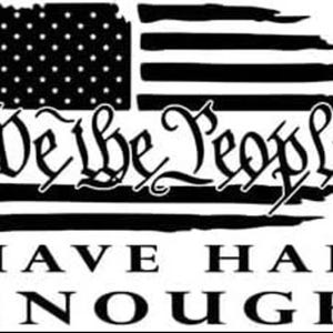 We The People Had Enough Vinyl Decal Sticker for car, truck, laptop, tumbler, wall decor