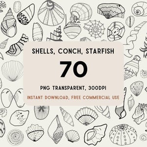 May include: A collection of 70 black and white line art illustrations of various seashells, conch, and starfish. The central text reads: SHELLS, CONCH, STARFISH, 70, PNG TRANSPARENT, 300DPI, INSTANT DOWNLOAD, FREE COMMERCIAL USE on a light background.