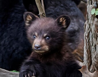 Baby Bear, Bear Cub, Mama and Baby Bear, Bear Photograph, Bear Poster