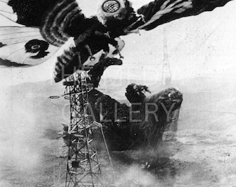 May include: A black and white photo of a giant moth monster with large wings, a large eye, and a hairy body. The monster is flying over a tall metal tower.