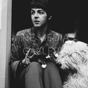 Paul Mccartney Gifts - 60+ Gift Ideas for 2026