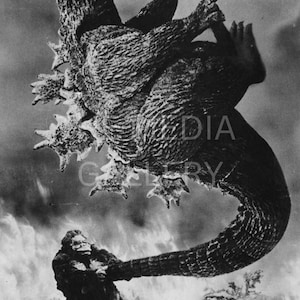 King Kong Swinging Godzilla Photo Print Wall Art - Japanese Monster Movie Art - Japanese Art - Toho - Dinosaur Art - Kaiju Art - Cool Photo
