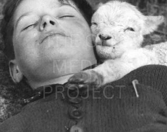 Vintage Boy Sleeping with Baby Lamb Photo Print, Cute Antique Farm Animal Wall Art, Sweet Cottagecore Black and White Photography
