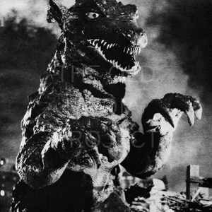 May include: A black and white image of a large, reptilian monster with sharp teeth and claws. The creature is standing upright, with its mouth open and arms raised. The monster appears to be in a city, with buildings in the background. The image is from a classic monster movie.
