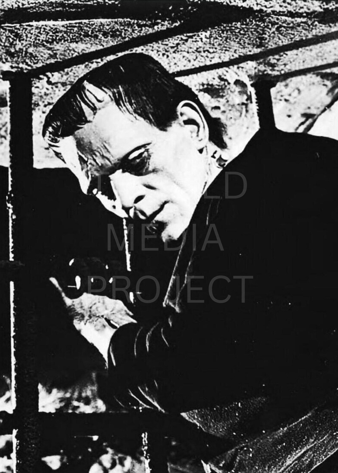 Boris Karloff as Frankenstein Monster, 1931 Photo Print – Vintage ...