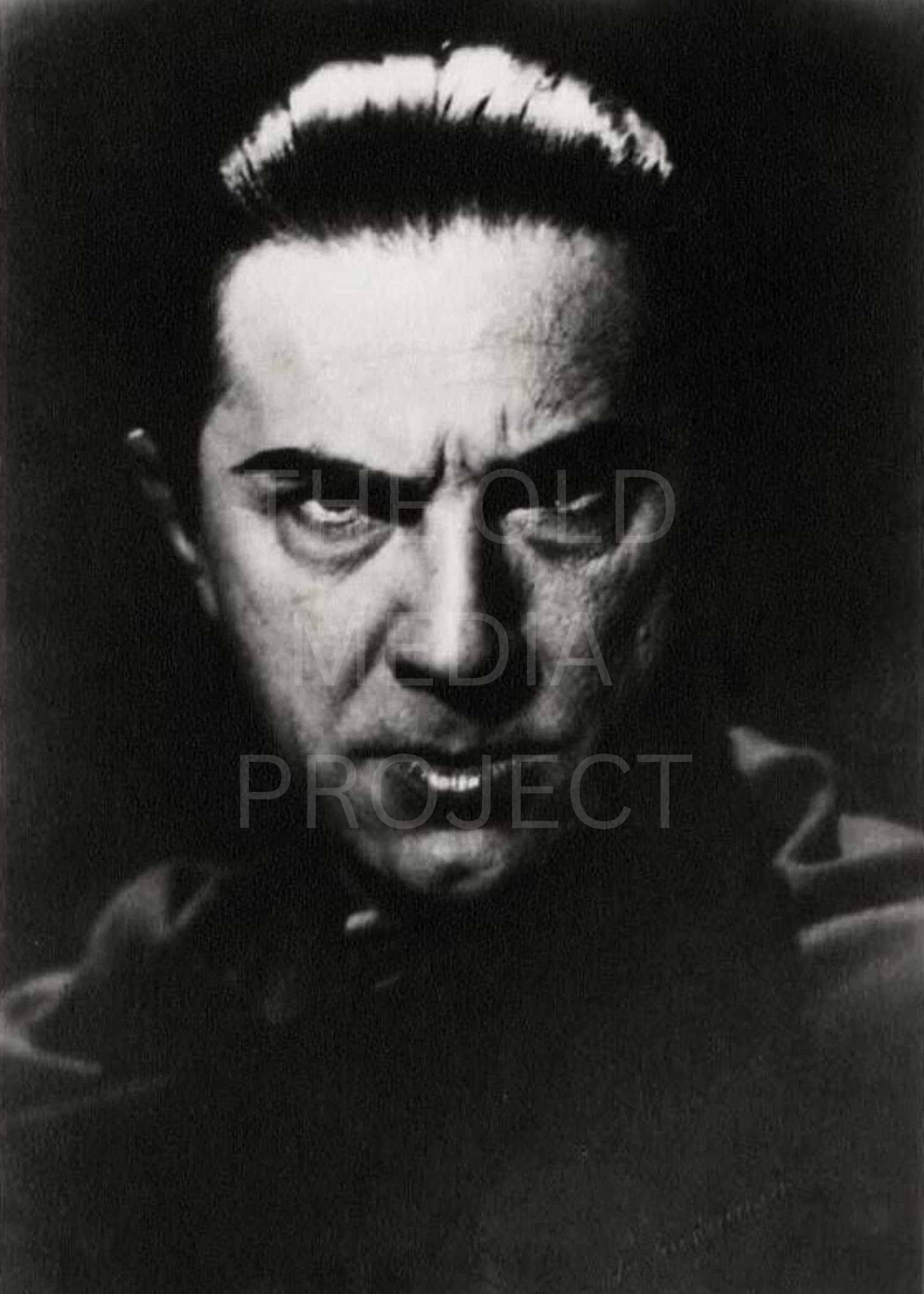 Bela Lugosi Dracula Portrait Photo Print, Classic Horror Film Art - Etsy