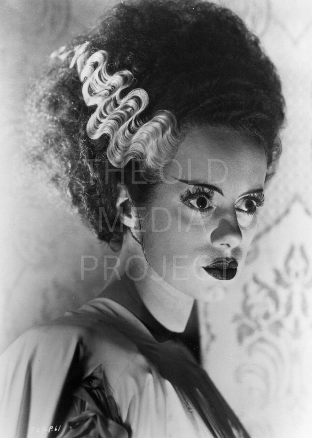 Bride of Frankenstein IV Photo Print 1935 - Vintage Horror Film Decor ...