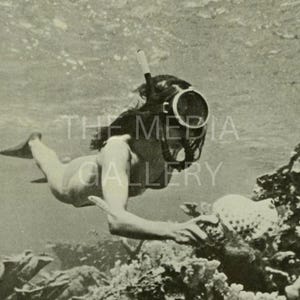 Retro Scuba Girl & Coral Reef Photo Print Wall Art - Vintage Old Photo - Nautical Art Decor - Cool, Interesting Photo - Ocean Life Art Photo