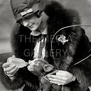 1920&#39;s Flapper Woman & Piglet Photo Print Wall Art - Vintage Old Photo - Cute Photo - Nursery Art - Animal Photo - Animal Lover Gift