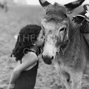 Child Kissing Donkey Photo Print - Donkey Art Print - Nursery Art Photo Print - Animal Lover Gift - Cute Animal Photo Art - Children&#39;s Art