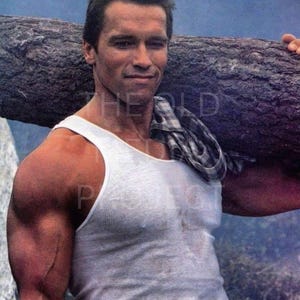 May include: A muscular individual wearing a white ribbed tank top with a plaid shirt draped over one shoulder. The individual is carrying a large, rough-textured wooden log across their shoulders. The image features a watermark text overlay.