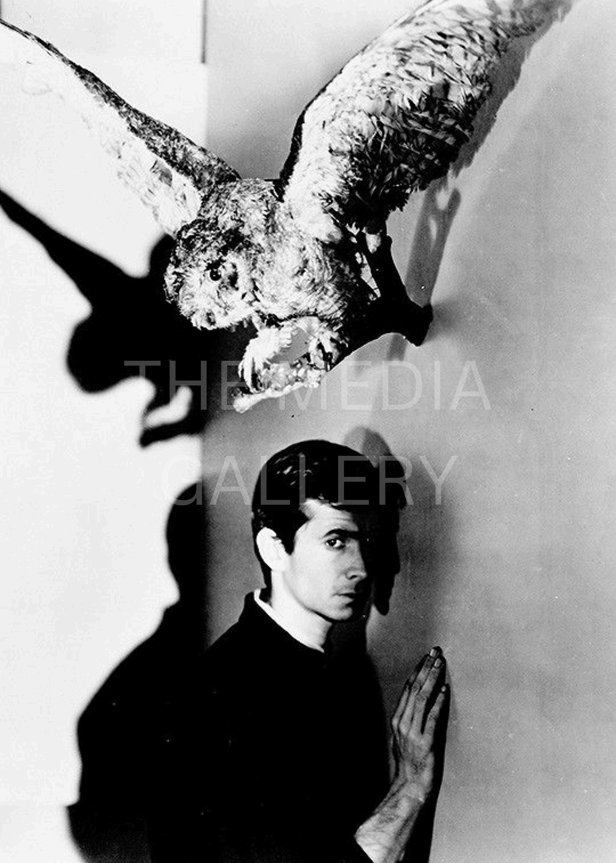Norman Bates & Owl Photo Print Wall Art - Horror Art - Alfred Hitchcock - Anthony Perkins - Seri
