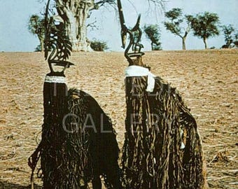 Op de afbeelding: Twee figuren dragen uitgebreide kostuums gemaakt van lange, donkere vezels. De kostuums hebben hoge, puntige hoofdtooien met ingewikkelde ontwerpen. De figuren staan op een droog, grasbegroeid veld met een grote boom op de achtergrond.