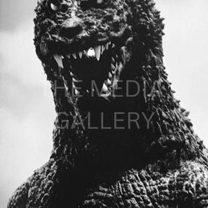 Godzilla Closeup Photo Print Wall Art - Horror Movie Art - Japanese Art - Toho - Dinosaur Art - Movie Monster - Cool Photo - Monster Art