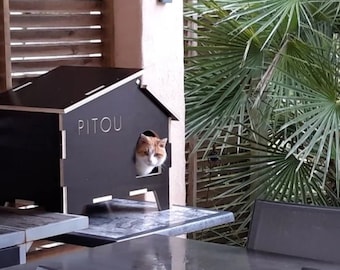 Cat House, Cat House - Laser cut