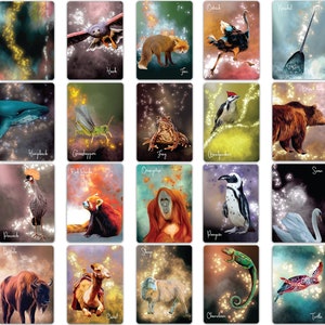 May include: A set of 20 illustrated cards featuring various animals, each with a name written below. The cards have a watercolor-like background with a sparkly effect.