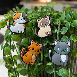 Cute kitten accessories online