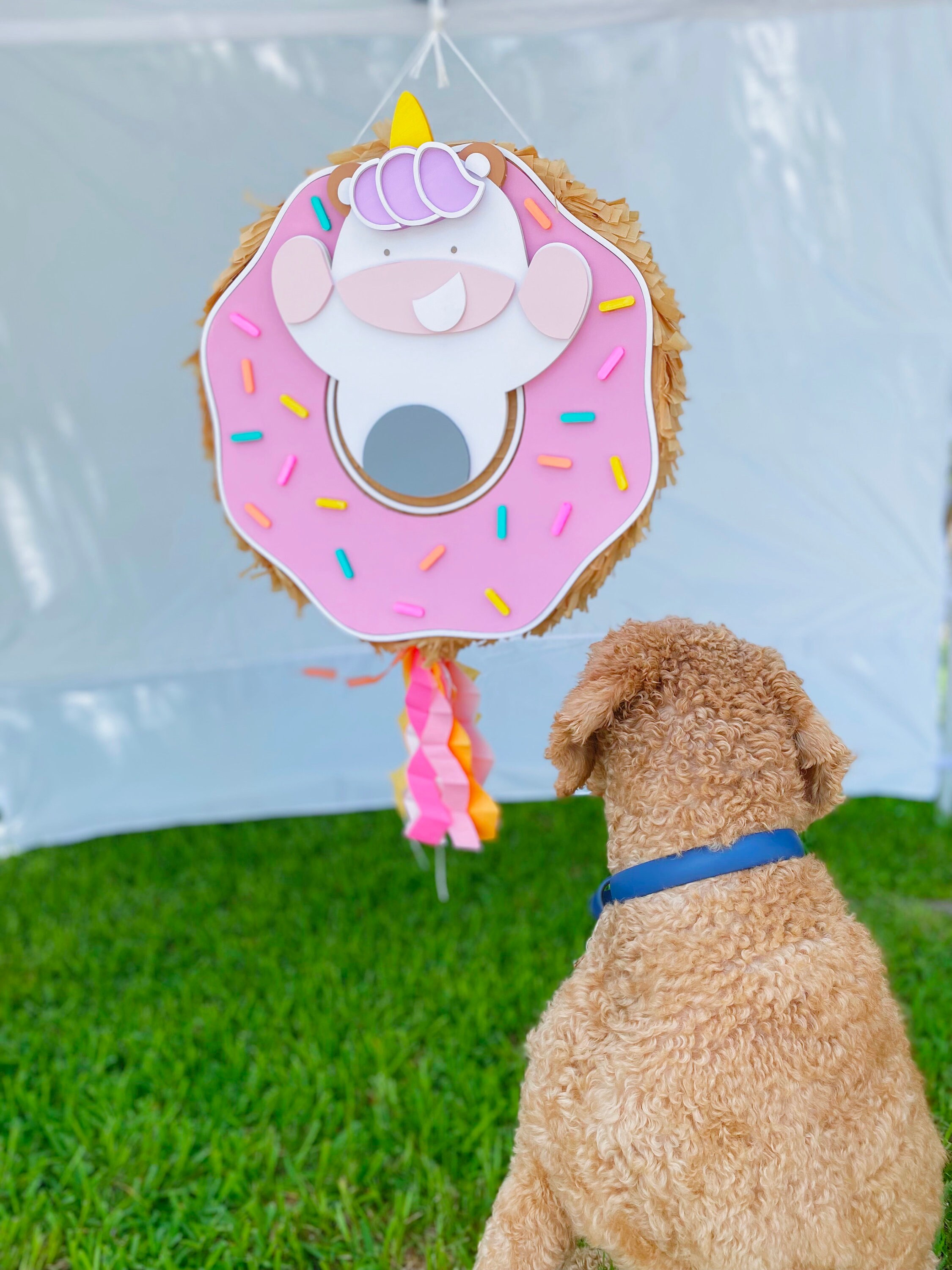 Donut Pinata Unicorn Donut Sweet Party Decor Donut With Etsy