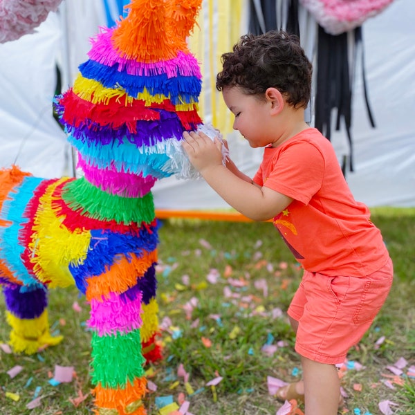 Donkey Pinata | Fiesta Donkey | 3D Party Decor | Traditional Pinata | Colorful Pinata | Fiesta Wedding | Burro Pinata Fringe  Fun Photo Prop