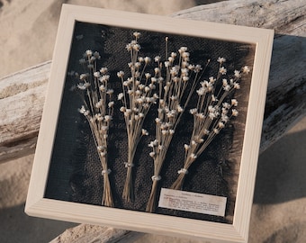 Dried Comanthera flower frame, Cadre d'art Botanique