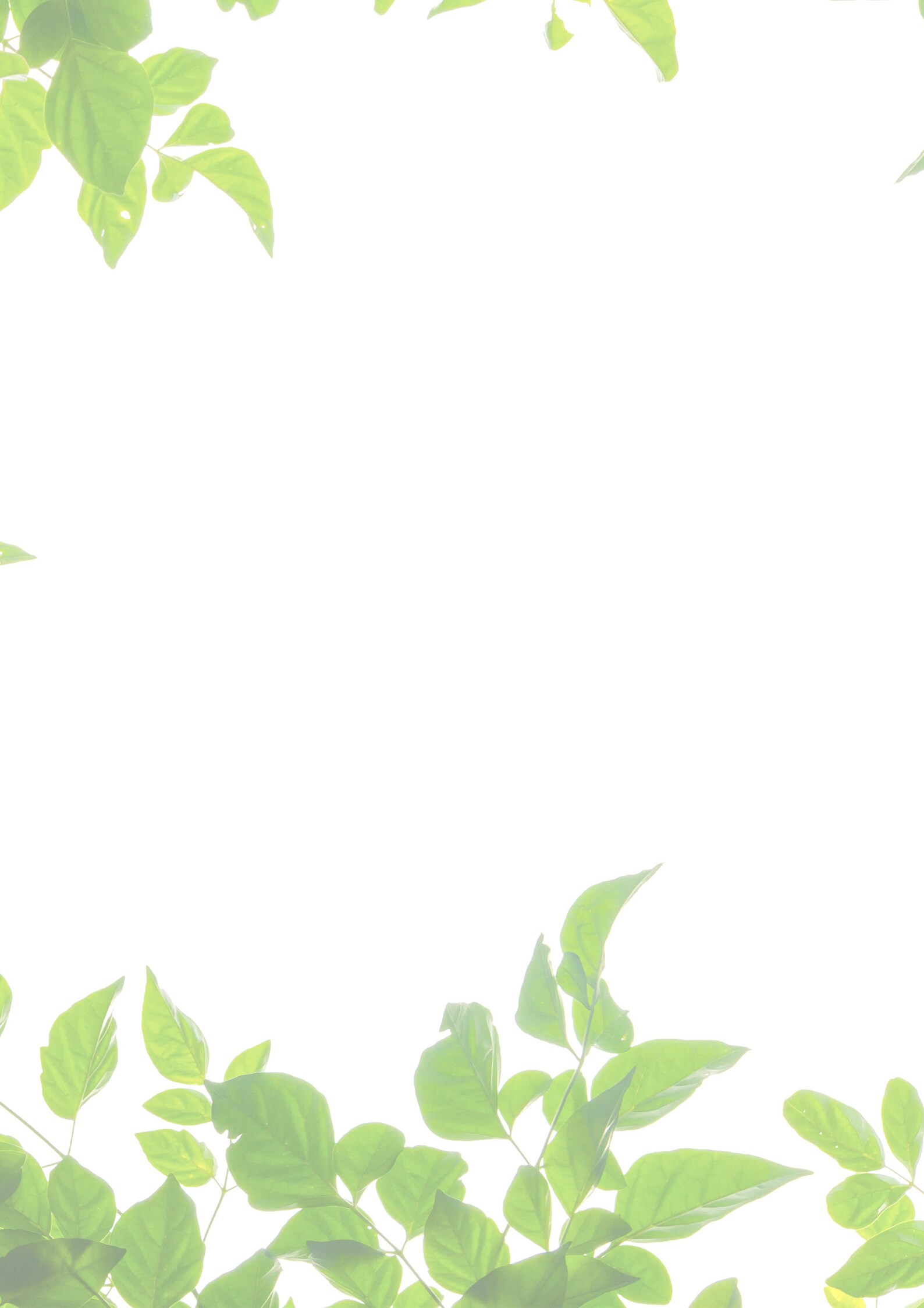 A4 Green Foliage Printable/digital Writing Paper/lined/unlined Etsy