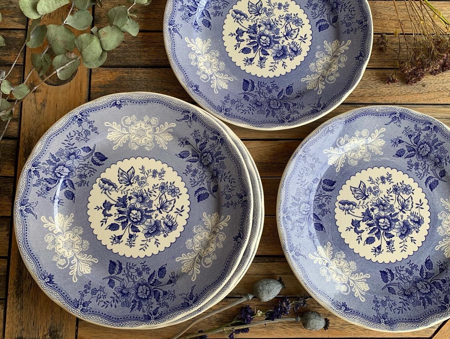 5 Grandes Assiettes Rondes Ironstone Tableware Underglaze.