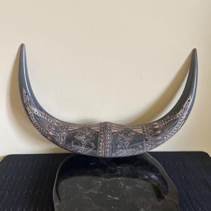 Vintage 20th Century Carved Water Buffalo Horn Wall Mount