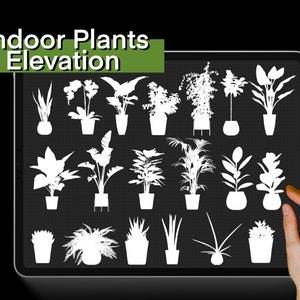 May include: A digital illustration of 18 different indoor plants in white silhouettes on a black background with a grid pattern. The title "Indoor Plants Elevation" is displayed at the top of the image.