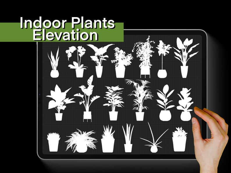 May include: A digital illustration of 18 different indoor plants in white silhouettes on a black background with a grid pattern. The title "Indoor Plants Elevation" is displayed at the top of the image.